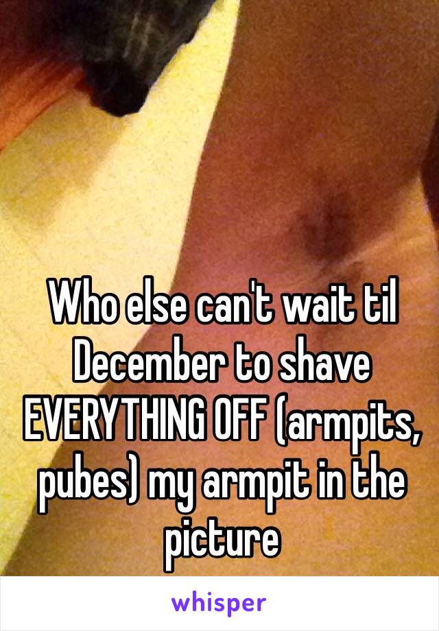 Who else can't wait til December to shave EVERYTHING OFF (armpits, pubes) my armpit in the picture