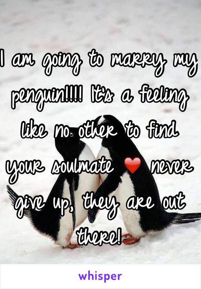 I am going to marry my penguin!!!! It's a feeling like no other to find your soulmate ❤️ never give up, they are out there! 