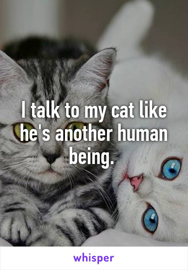 I talk to my cat like he's another human being. 