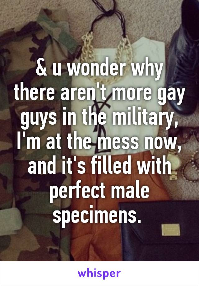 & u wonder why there aren't more gay guys in the military, I'm at the mess now, and it's filled with perfect male specimens. 