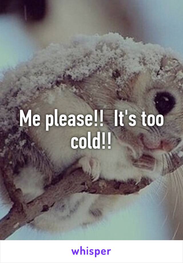 Me please!!  It's too cold!!