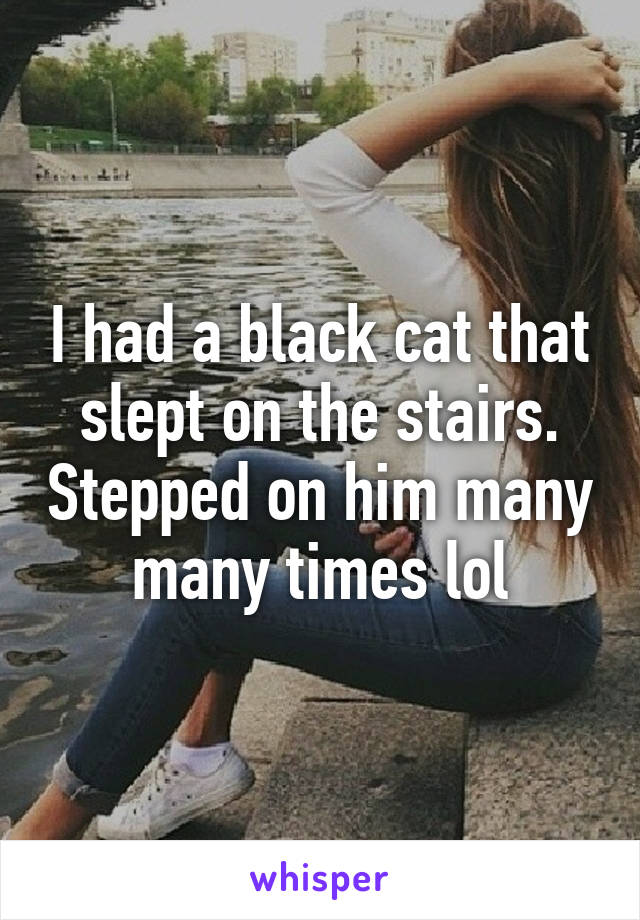 I had a black cat that slept on the stairs. Stepped on him many many times lol
