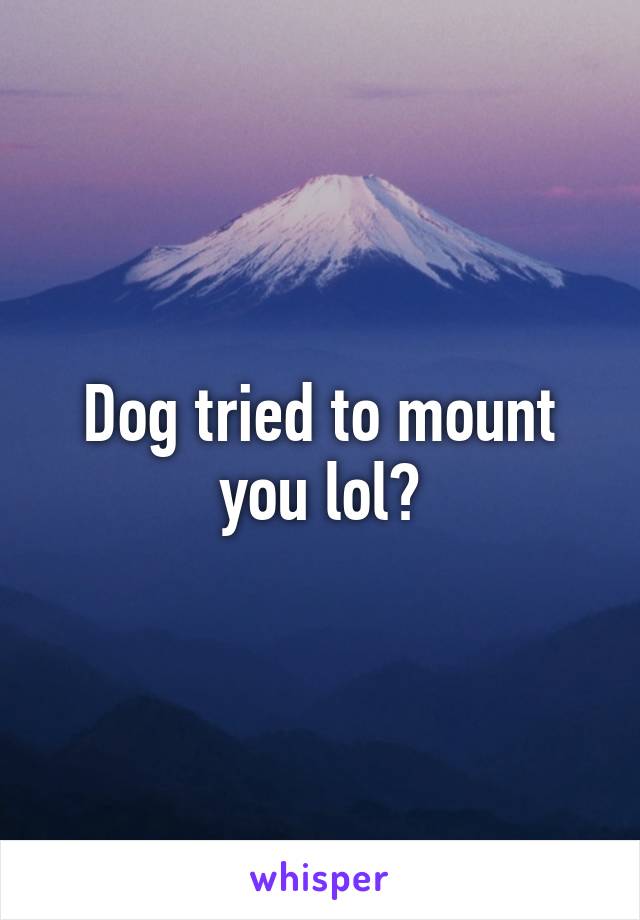Dog tried to mount you lol?