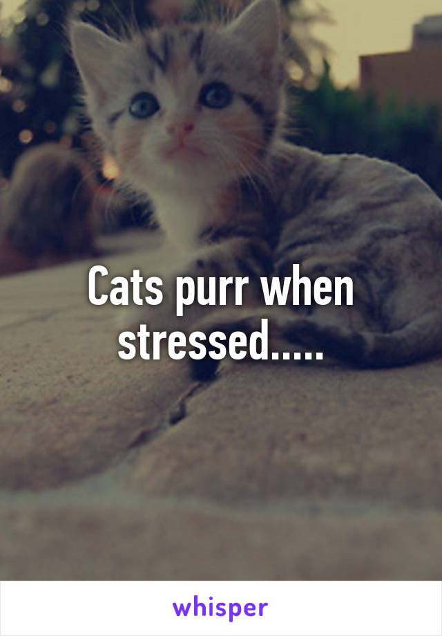 Cats purr when stressed.....
