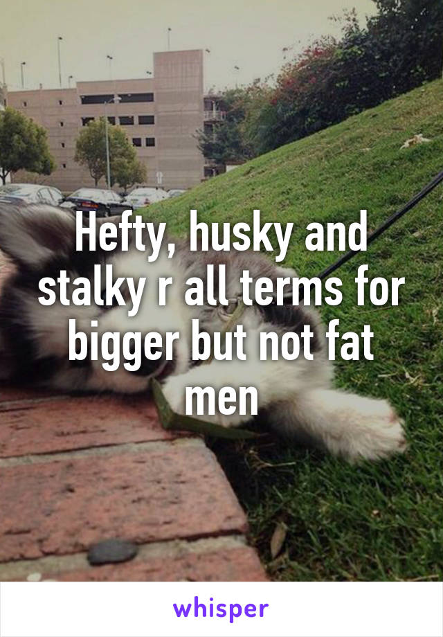 Hefty, husky and stalky r all terms for bigger but not fat men