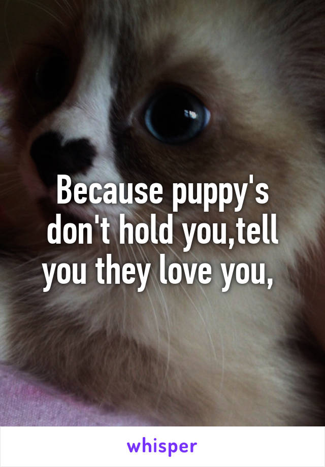 Because puppy's don't hold you,tell you they love you, 