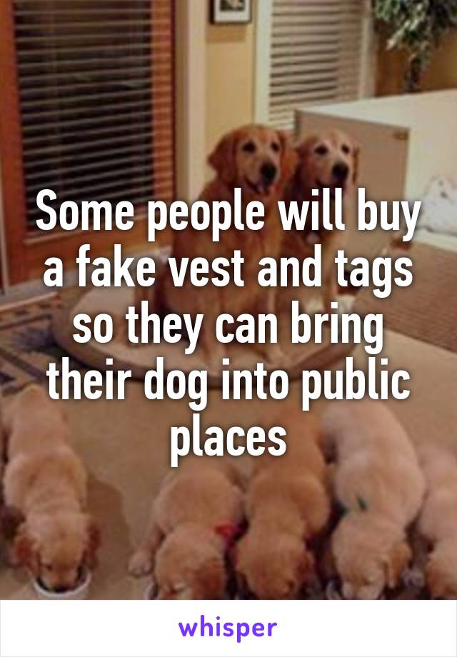 Some people will buy a fake vest and tags so they can bring their dog into public places
