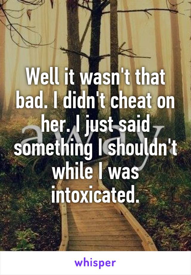 Well it wasn't that bad. I didn't cheat on her. I just said something I shouldn't while I was intoxicated.