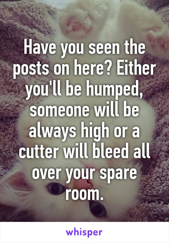 Have you seen the posts on here? Either you'll be humped, someone will be always high or a cutter will bleed all over your spare room.