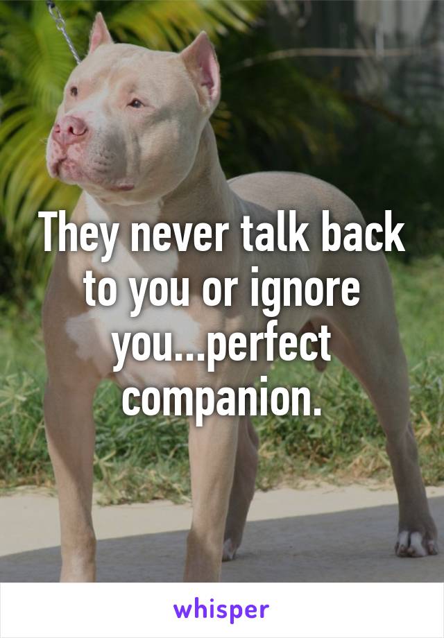 They never talk back to you or ignore you...perfect companion.