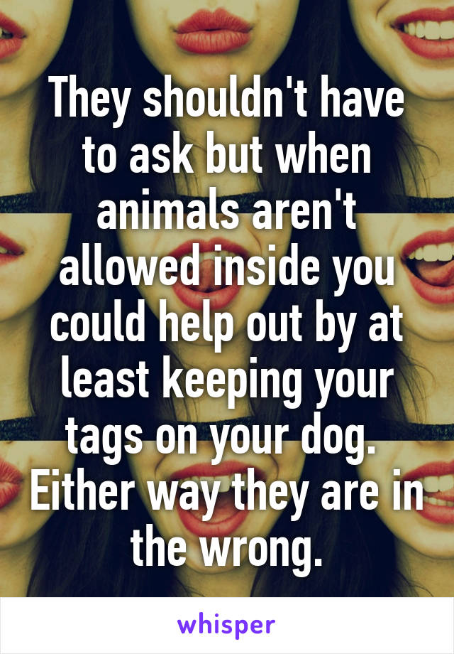They shouldn't have to ask but when animals aren't allowed inside you could help out by at least keeping your tags on your dog.  Either way they are in the wrong.