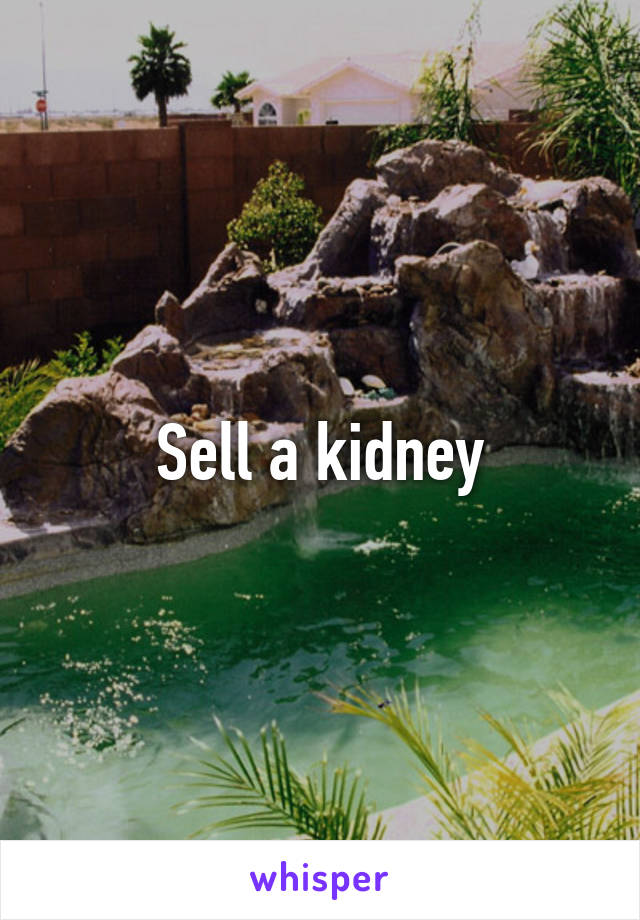 Sell a kidney