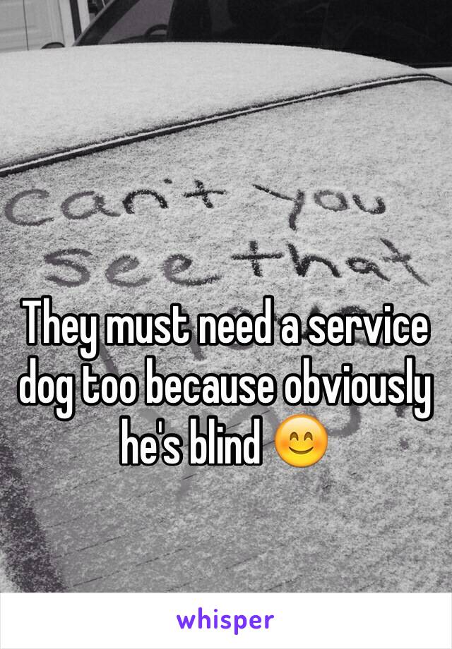 They must need a service dog too because obviously he's blind 😊