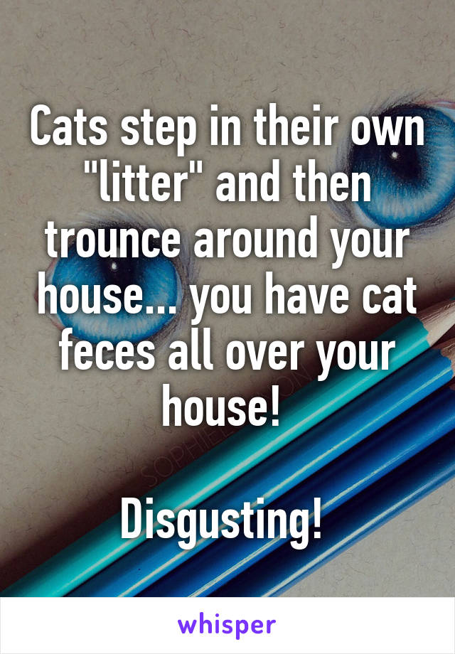 Cats step in their own "litter" and then trounce around your house... you have cat feces all over your house! 

Disgusting! 