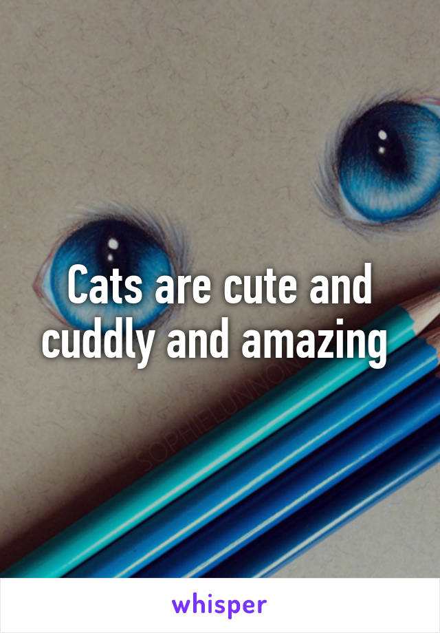 Cats are cute and cuddly and amazing 