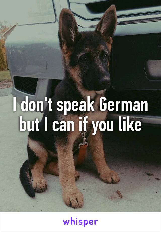 I don't speak German but I can if you like