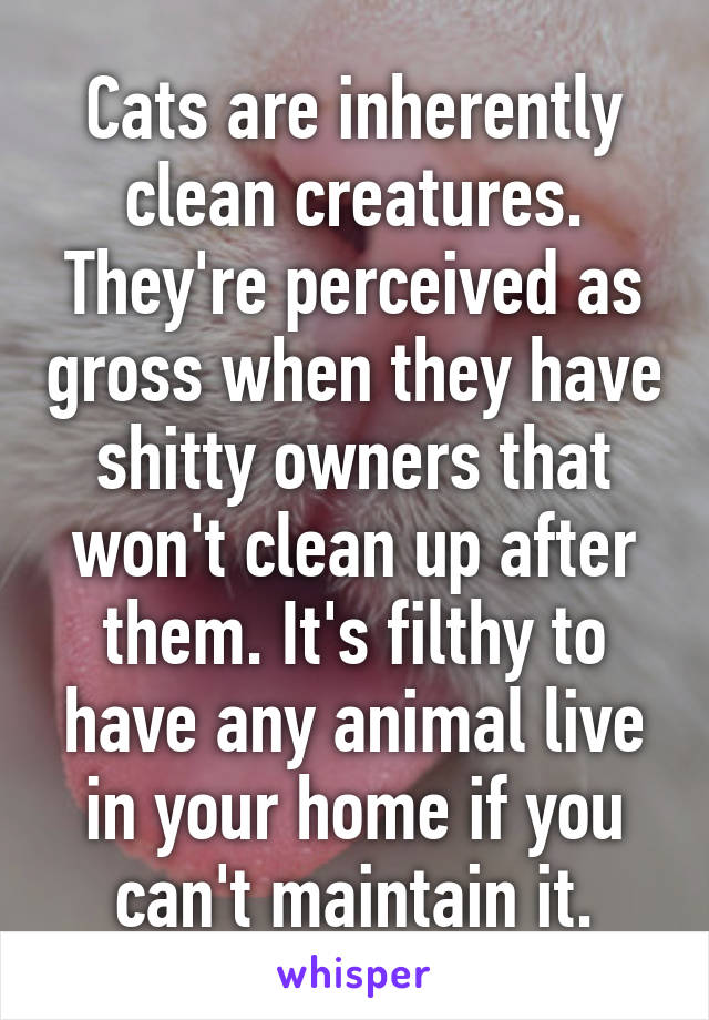 Cats are inherently clean creatures. They're perceived as gross when they have shitty owners that won't clean up after them. It's filthy to have any animal live in your home if you can't maintain it.