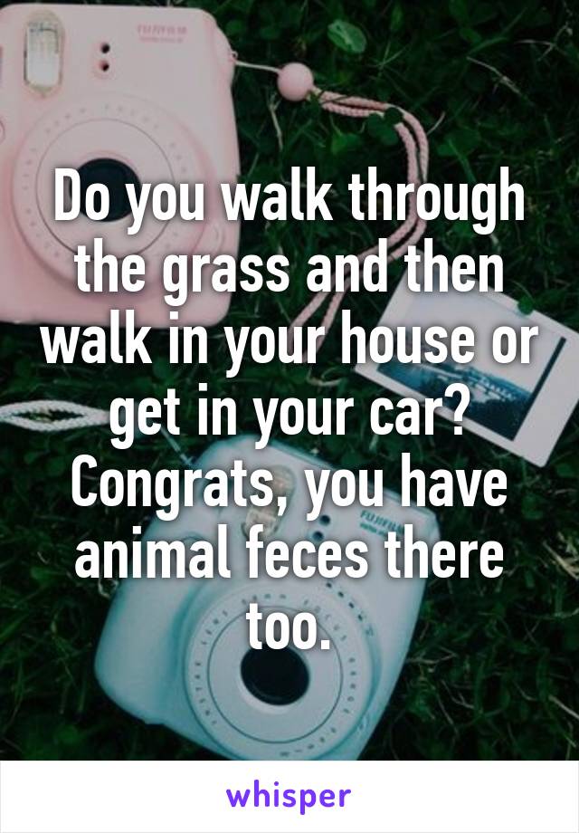 Do you walk through the grass and then walk in your house or get in your car? Congrats, you have animal feces there too.