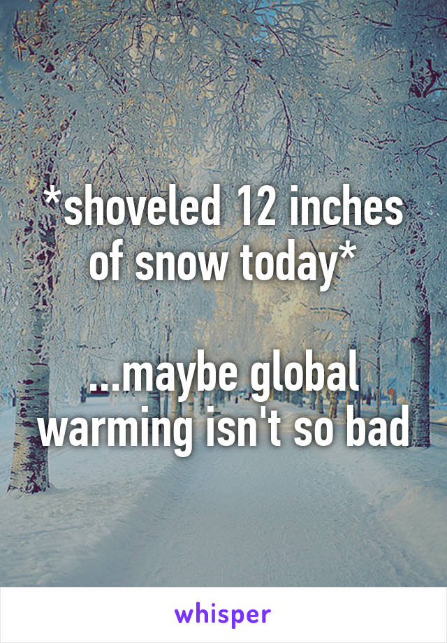 *shoveled 12 inches of snow today*

...maybe global warming isn't so bad