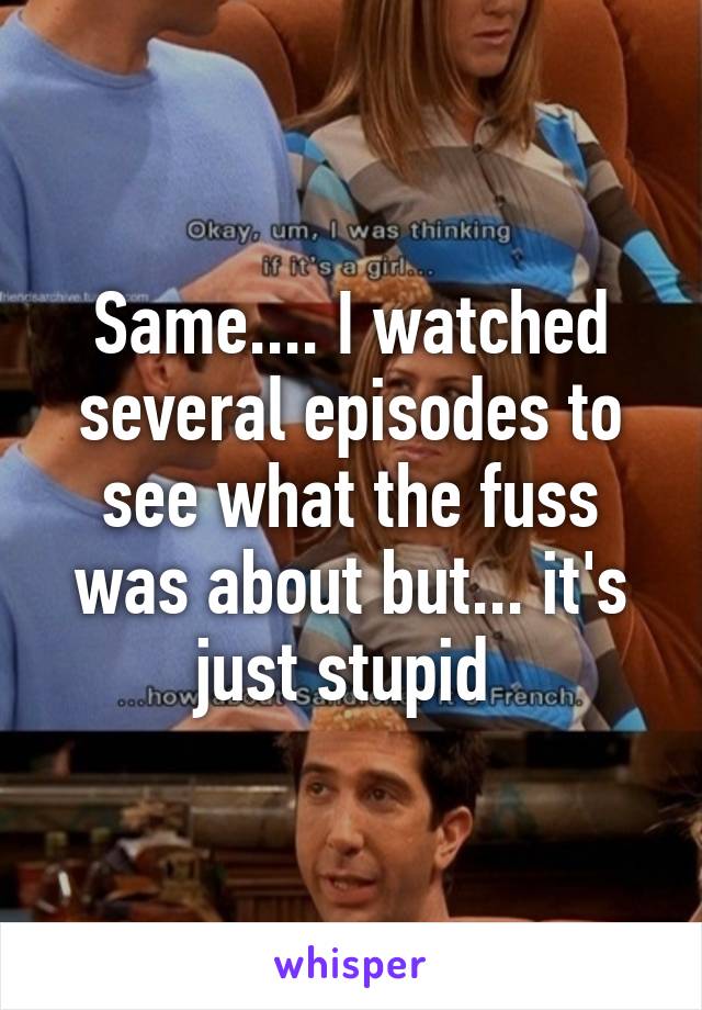 Same.... I watched several episodes to see what the fuss was about but... it's just stupid 