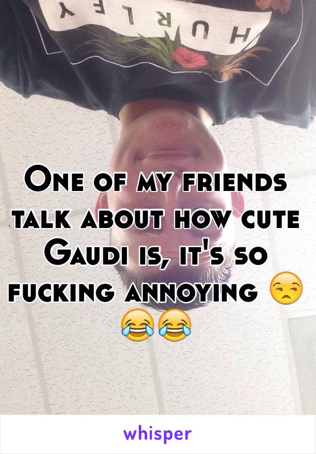 One of my friends talk about how cute Gaudi is, it's so fucking annoying 😒😂😂
