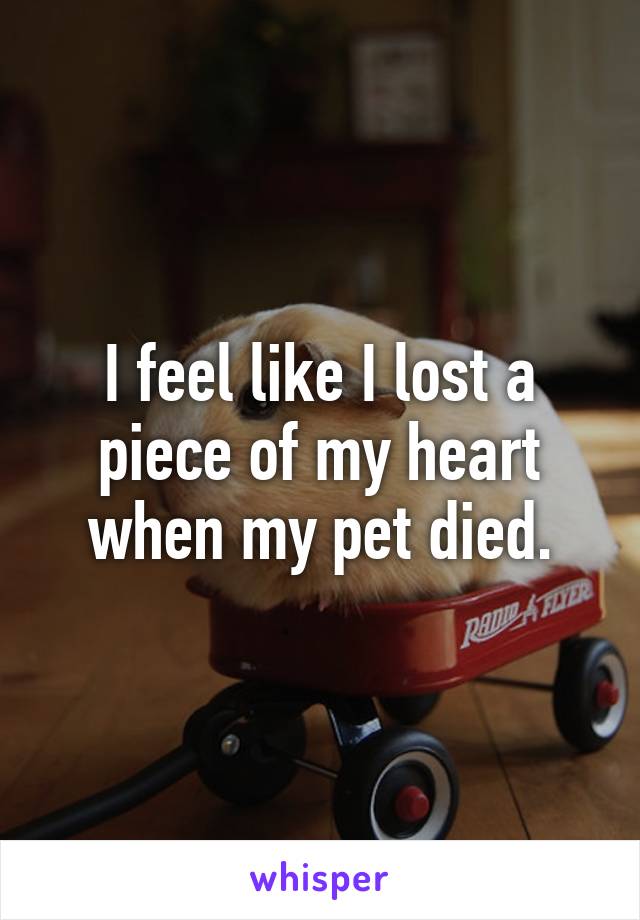 I feel like I lost a piece of my heart when my pet died.