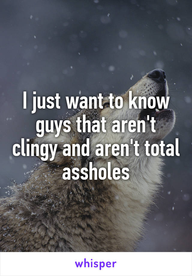 I just want to know guys that aren't clingy and aren't total assholes