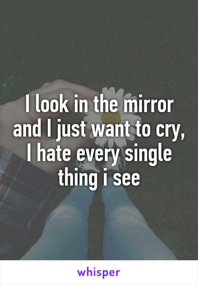 I look in the mirror and I just want to cry, I hate every single thing i see