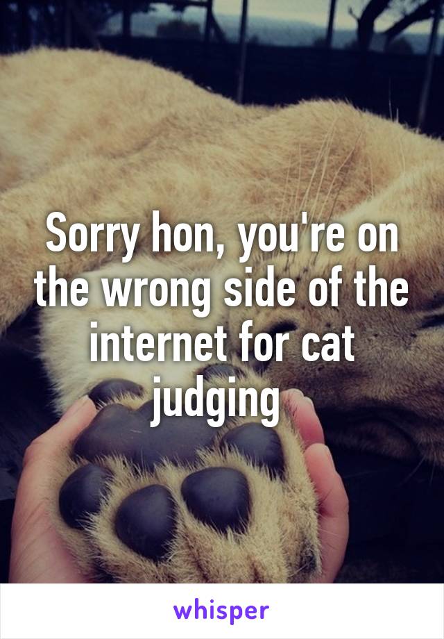 Sorry hon, you're on the wrong side of the internet for cat judging 