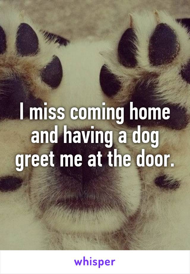 I miss coming home and having a dog greet me at the door.
