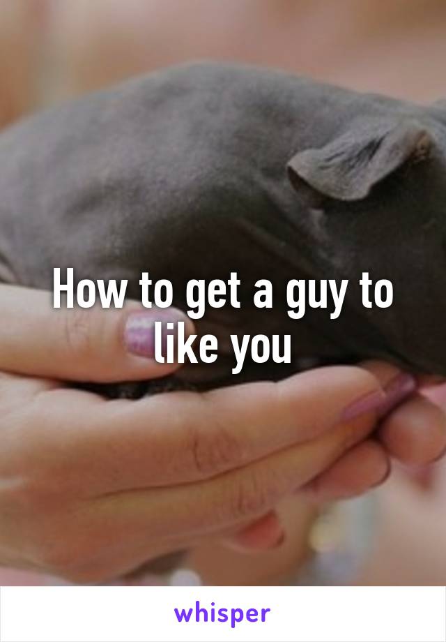 How to get a guy to like you