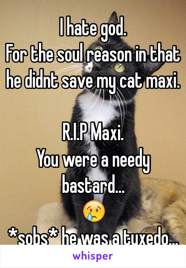 I hate god.
For the soul reason in that he didnt save my cat maxi.

R.I.P Maxi.
You were a needy bastard...
😢
*sobs* he was a tuxedo...