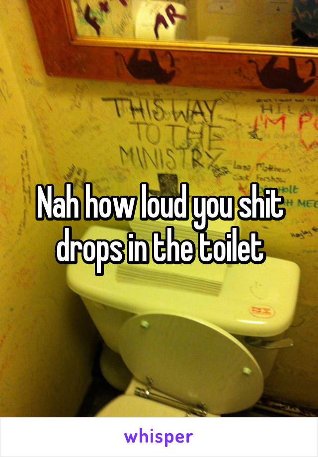 Nah how loud you shit drops in the toilet