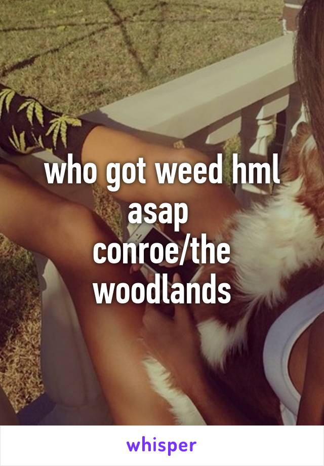 who got weed hml asap 
conroe/the woodlands