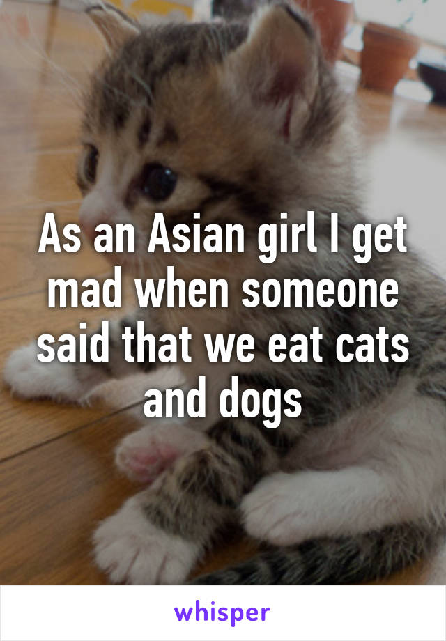 As an Asian girl I get mad when someone said that we eat cats and dogs