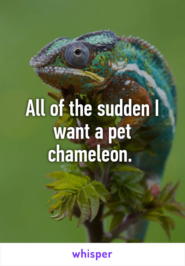 All of the sudden I want a pet chameleon. 