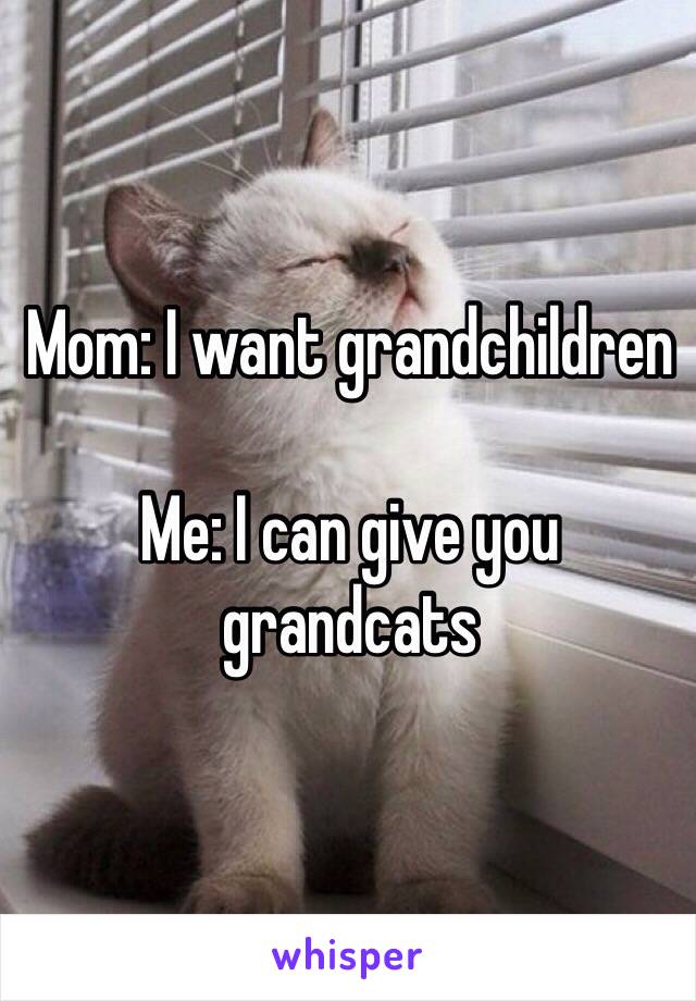 Mom: I want grandchildren

Me: I can give you grandcats