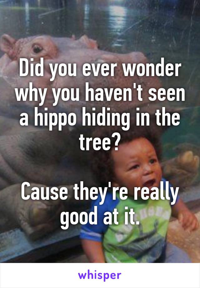 Did you ever wonder why you haven't seen a hippo hiding in the tree?

Cause they're really good at it.