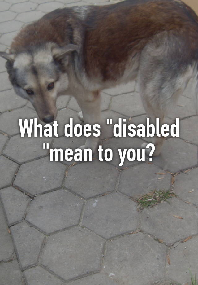 what-does-disabled-mean-to-you