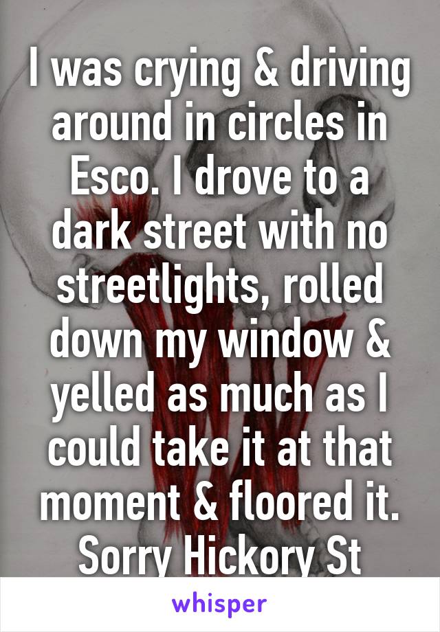 I was crying & driving around in circles in Esco. I drove to a dark street with no streetlights, rolled down my window & yelled as much as I could take it at that moment & floored it. Sorry Hickory St