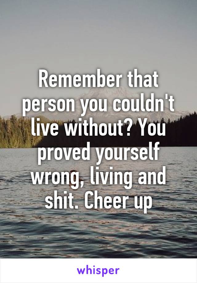 Remember that person you couldn't live without? You proved yourself wrong, living and shit. Cheer up