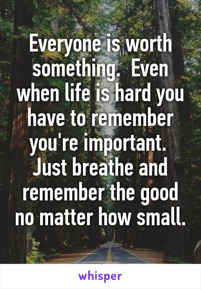 Everyone is worth something.  Even when life is hard you have to remember you're important.  Just breathe and remember the good no matter how small. 