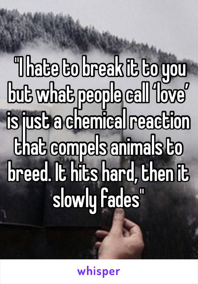  "I hate to break it to you but what people call ‘love’ is just a chemical reaction that compels animals to breed. It hits hard, then it slowly fades"