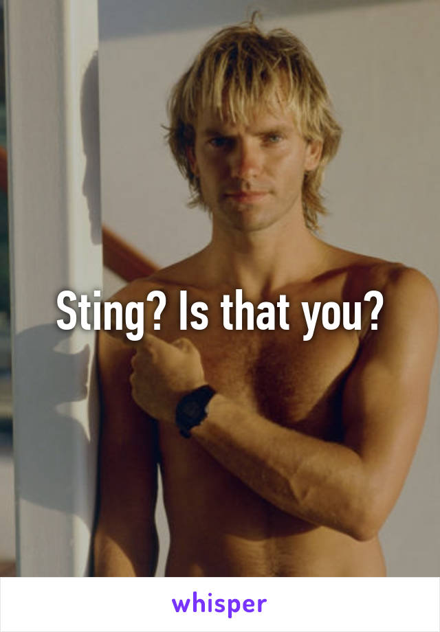  Sting? Is that you? 