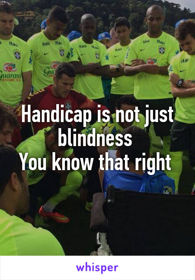 Handicap is not just blindness 
You know that right 