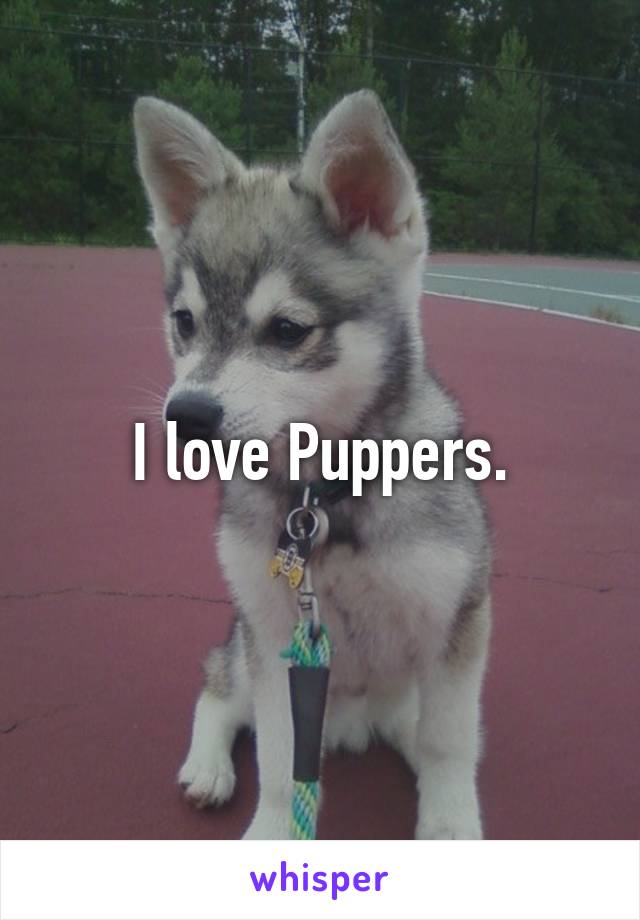 I love Puppers.