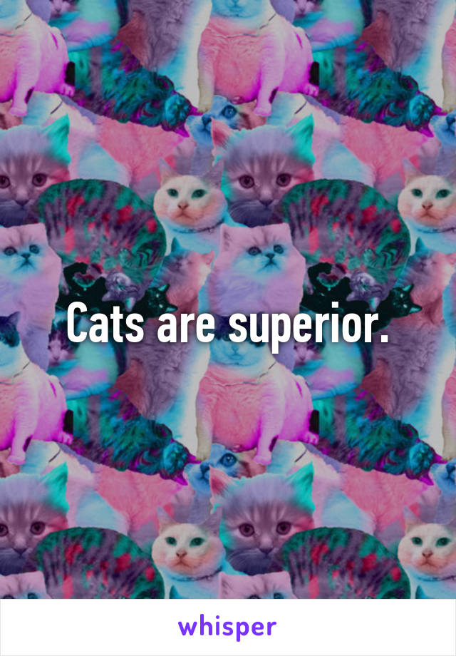 Cats are superior.