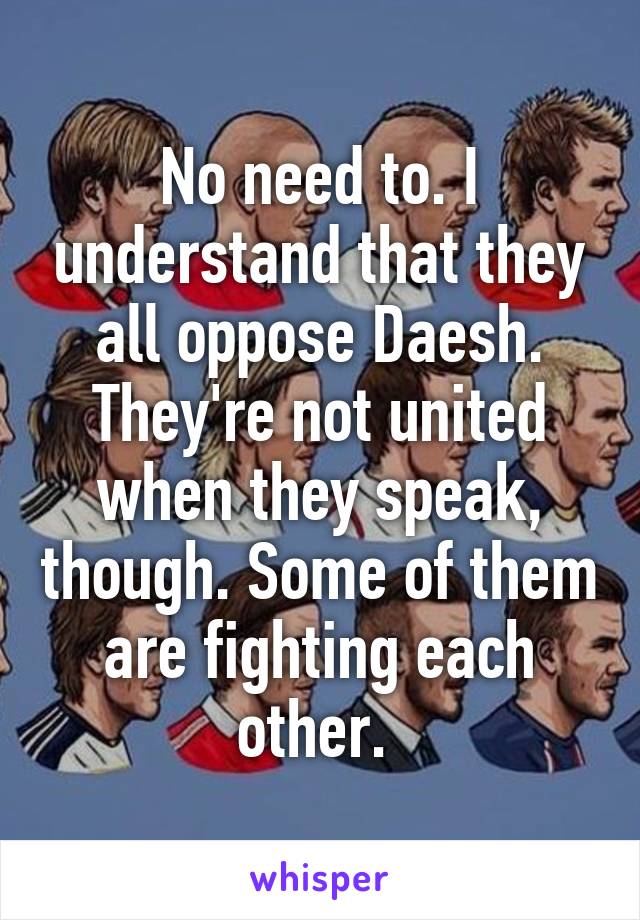 No need to. I understand that they all oppose Daesh. They're not united when they speak, though. Some of them are fighting each other. 