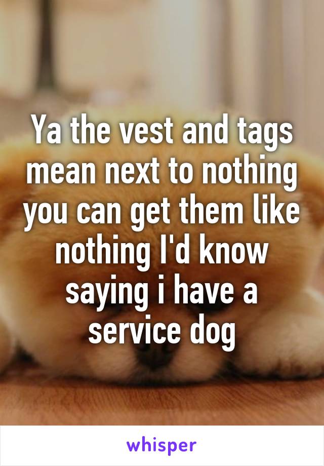 Ya the vest and tags mean next to nothing you can get them like nothing I'd know saying i have a service dog