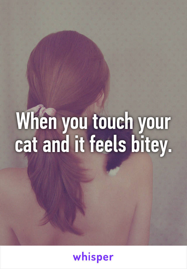 When you touch your cat and it feels bitey.